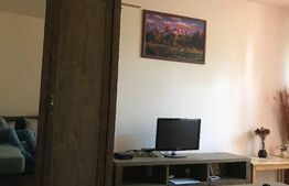 Garsoniera, 28 mp, zona Parcului Detunata, cartier Gheorgheni