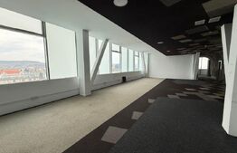 Spatiu Birou, Clasa A 100mp -Centru, Cluj-Napoca