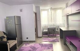 Garsoniera Moderna, zona Detunata, Pet Friendly