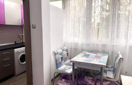 Garsoniera Moderna, zona Detunata, Pet Friendly