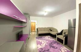 Garsoniera Moderna, zona Detunata, Pet Friendly