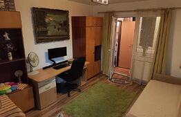 Apartament 2 camere, etaj intermediar, parcare, Dambu Rotund