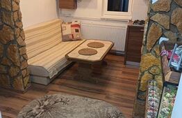 Apartament 2 camere, etaj intermediar, parcare, Dambu Rotund