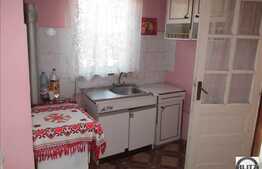 Casa de vanzare, 55 mp, teren 110 mp, front la 2 strazi 22 ml inDambul Rotund!