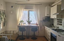 Apartament 2 camere, cu pod amenajat si vedere spre munte - Noua, Brasov