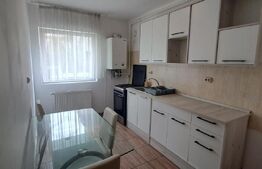 Apartament de 46 mp, cu 1/2 camere, etaj 1, cu balcon, parcare ,zona Stejarului