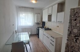 Apartament de 46 mp, cu 1/2 camere, etaj 1, cu balcon, parcare ,zona Stejarului