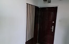Apartament 2 camere de vânzare – Astra, Brașov