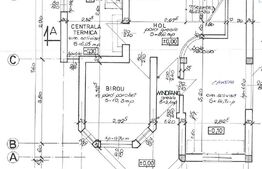 Casa individuala, 200mp utili, teren 700, Grigorescu, comision 0