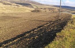 Teren intravilan 12.656 mp cu deschidere mare la drum – oportunitate investiție