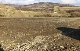 Teren intravilan 12.656 mp cu deschidere mare la drum – oportunitate investiție