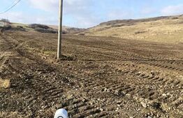 Teren intravilan 12.656 mp cu deschidere mare la drum – oportunitate investiție