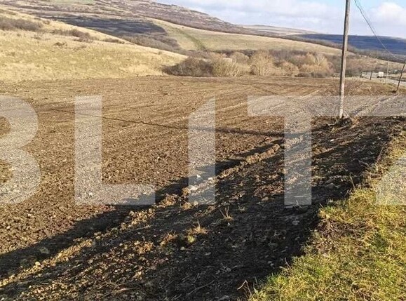 Teren de vânzare Bonţida - 191696TV | BLITZ Cluj-Napoca | Poza2