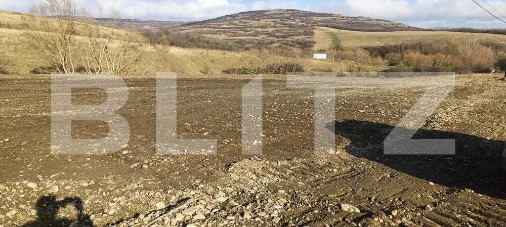 Teren de vânzare Bonţida - 191696TV | BLITZ Cluj-Napoca | Poza3