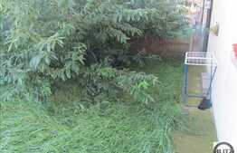 1 camera, 37 mp in zona Avram Iancu! Gradina de 35 mp! Parcare cu CF!