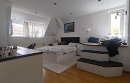 Casă finisata 220 mp, 2 corpuri de cladire , teren 261 mp, cart Gruia !