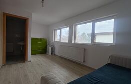 Casă finisata 220 mp, 2 corpuri de cladire , teren 261 mp, cart Gruia !
