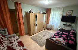 Apartament 2 camere, zona Bucium - ideal pentru investitie