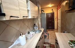 Apartament 2 camere, zona Bucium - ideal pentru investitie