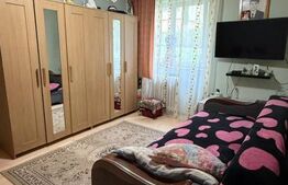 Apartament 2 camere, zona Bucium - ideal pentru investitie