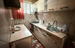 Apartament 2 camere, zona Bucium - ideal pentru investitie