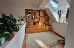 Casa in inima Brasovului - Pretabil afacere si locuinta 