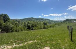 Teren Construibil - Muntele Baisorii , 5000mp - cu posibilitate de parcelare