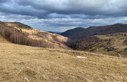 Teren Construibil - Muntele Baisorii , 5000mp - cu posibilitate de parcelare