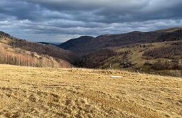 Teren Construibil - Muntele Baisorii , 5000mp - cu posibilitate de parcelare