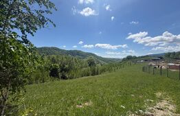 Teren Construibil - Muntele Baisorii , 5000mp - cu posibilitate de parcelare
