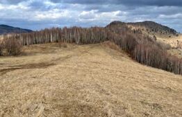 Teren Construibil - Muntele Baisorii , 5000mp - cu posibilitate de parcelare