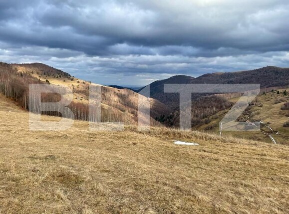 Teren de vânzare Muntele Băişorii - 191829TV | BLITZ Cluj-Napoca | Poza2