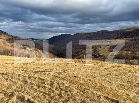 Teren de vânzare Muntele Băişorii - 191829TV | BLITZ Cluj-Napoca | Poza1