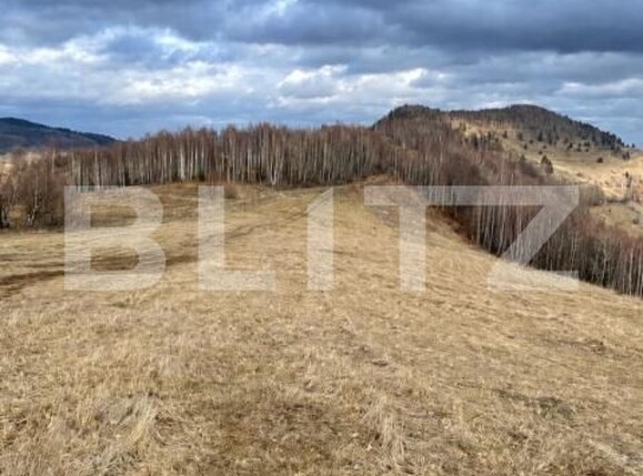 Teren de vânzare Muntele Băişorii - 191829TV | BLITZ Cluj-Napoca | Poza3