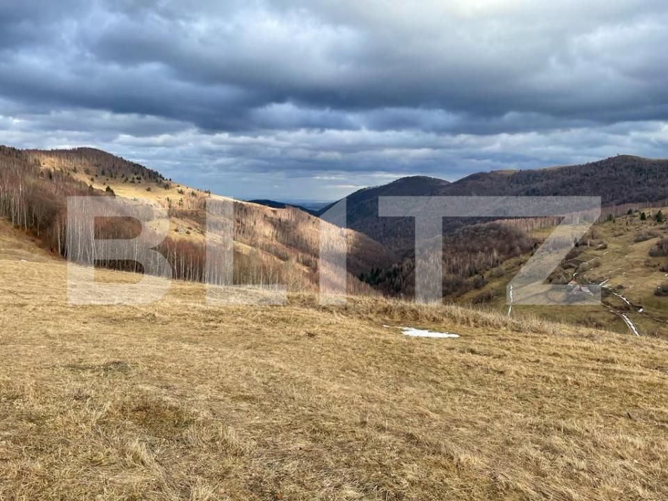 Teren de vânzare Muntele Băişorii - 191829TV | BLITZ Cluj-Napoca | Poza2