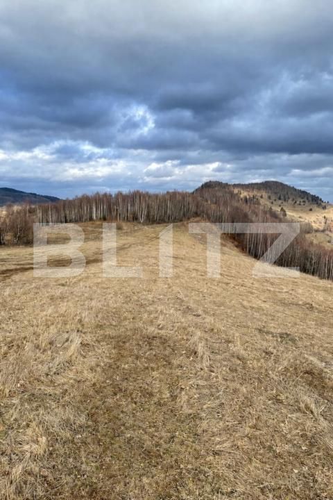 Teren de vânzare Muntele Băişorii - 191829TV | BLITZ Cluj-Napoca | Poza3