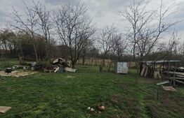 Teren intravilan 3000 mp, in Sandulesti