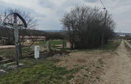 Teren intravilan 3000 mp, in Sandulesti