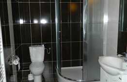 Casa de vanzare, 280 mp, cu teren aferent de 500 mp, complet mobilata!