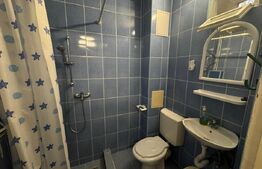 Garsoniera de inchiriat, 22 mp, zona BIG - Mănăștur