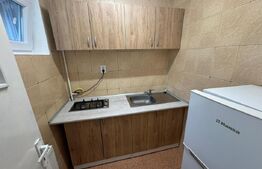 Garsoniera de inchiriat, 22 mp, zona BIG - Mănăștur