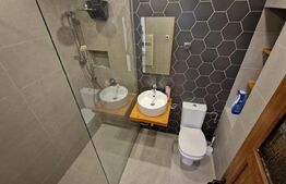 Duplex cu 3 camere, petfriendly, garaj, Gheorgheni