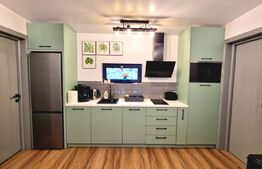 Cabană de vis pe malul lacului Someșul Cald – ponton propriu, business la cheie