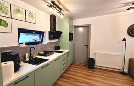 Cabană de vis pe malul lacului Someșul Cald – ponton propriu, business la cheie