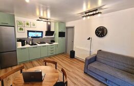 Cabană de vis pe malul lacului Someșul Cald – ponton propriu, business la cheie