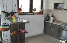 Duplex cu 13 camere, 533 mp, teren 1000 mp, imobil nou, partial finisat!