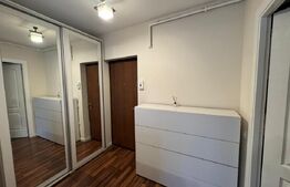 Apartament de inchiriat, 40 mp, zona Platinia