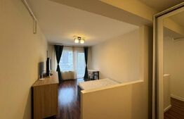 Apartament de inchiriat, 40 mp, zona Platinia