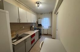 Apartament de inchiriat, 40 mp, zona Platinia