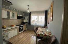 Apartament 2 camere, 48 mp, zona Porii